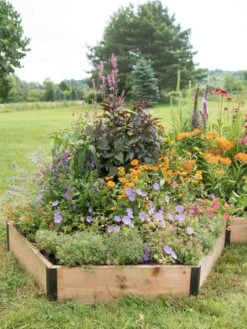 Pollinator Garden Bed
