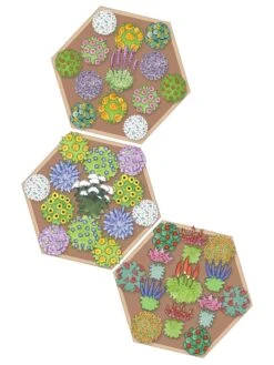 Pollinator Garden Bed -Garden Supplies Sales 8597000 Hummingbird Plan tif