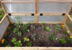 Garden In A Box Cedar Raised Bed With Greenhouse, 3' X 6' -Garden Supplies Sales 8597082 03V tif