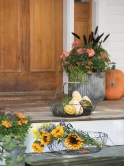 Galvanized Rim Planters -Garden Supplies Sales 8597379 1625 tif