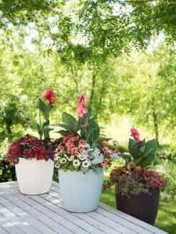 Weave Self-Watering Round Planter, 14" -Garden Supplies Sales 8597388 2141 tif