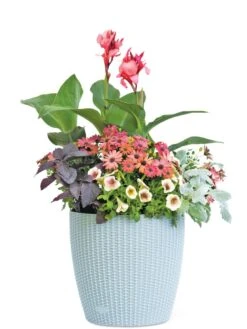 Weave Self-Watering Round Planter, 14" -Garden Supplies Sales 8597388 2175 tif