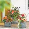 Galvanized Ribbed Planters -Garden Supplies Sales 8597436 1680 tif