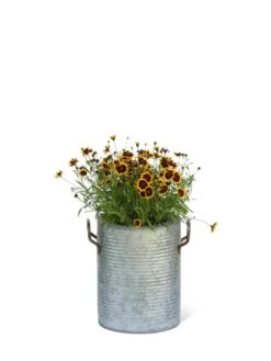 Galvanized Rim Planters -Garden Supplies Sales 8597442 1705 tif