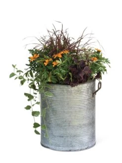 Galvanized Rim Planters -Garden Supplies Sales 8597443 1704 tif