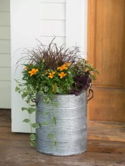 Galvanized Rim Planters -Garden Supplies Sales 8597443 1708 tif