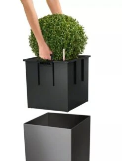 Lechuza® Cube Premium Planters -Garden Supplies Sales 8597506 04V tif