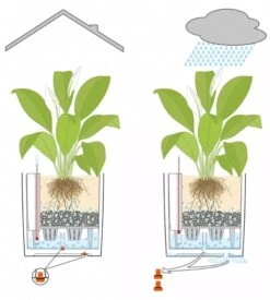 Lechuza® Cube Premium Planters -Garden Supplies Sales 8597506 05V tif