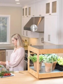 Low Bamboo LED Grow Light Garden -Garden Supplies Sales 8597720 0816 tif