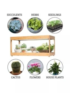 Low Bamboo LED Grow Light Garden -Garden Supplies Sales 8597720 3