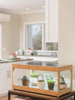 Low Bamboo LED Grow Light Garden -Garden Supplies Sales 8597720 9385 tif