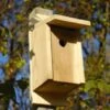 Eastern Bluebird Joy Box Bird House