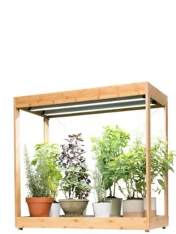 Medium Bamboo LED Grow Light Garden -Garden Supplies Sales 8597883 1011 tif