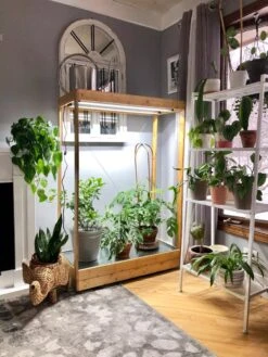 Tall Bamboo LED Grow Light Garden -Garden Supplies Sales 8597884 01IN tif