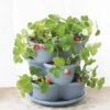 Stacking Strawberry Pot -Garden Supplies Sales 8597996 9004 tif