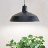 Barnyard Pendant LED Grow Light 1 Barnyard Pendant LED Grow Light -Garden Supplies Sales 8598025 8139 tif