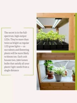 Bamboo LED Grow Light Garden For Succulents And Seeds -Garden Supplies Sales 8598084 7