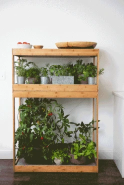 Bamboo Home LED Grow Light Garden -Garden Supplies Sales 8598088 BambooLEDHomeGarden light gif