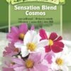 Sensation Blend Cosmos Organic Seeds -Garden Supplies Sales 8598224 01V tif