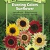 Evening Colors Sunflower Organic Seeds -Garden Supplies Sales 8598225 01V tif