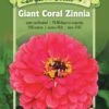 Giant Coral Zinnia Organic Seeds -Garden Supplies Sales 8598226 01V tif