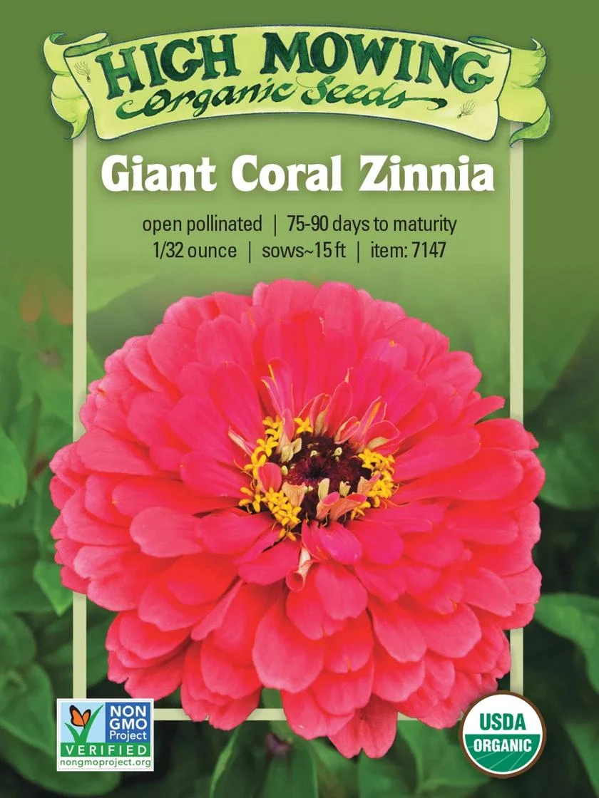 Giant Coral Zinnia Organic Seeds 3 Giant Coral Zinnia Organic Seeds
