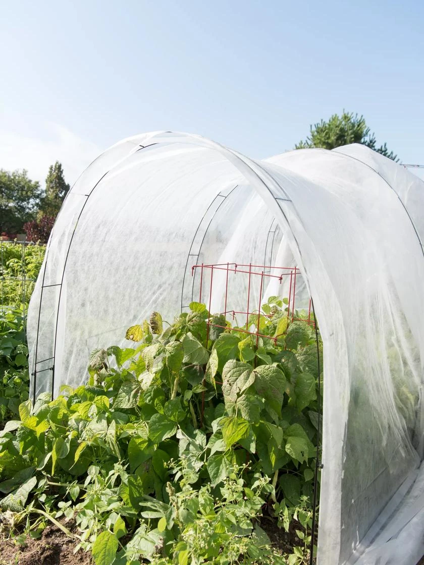 Super Hoop Bases, Set Of 6 6 Super Hoop Bases, Set Of 6 - Image 4