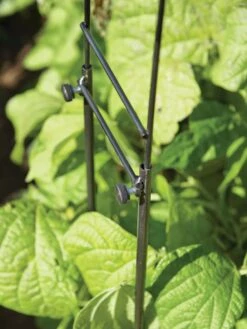 Adjustable Super Hoops, Set Of 3 -Garden Supplies Sales 8598301 0640 tif