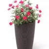 Weave Self-Watering Round Tall Planter, 12-1/2" -Garden Supplies Sales 8598371 3000 tif