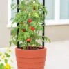 Gardener’s Victory Self-Watering Planter With Support System 2 Gardener’s Victory Self-Watering Planter With Support System -Garden Supplies Sales 8598384 6012 tif