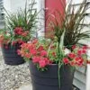 Gardener’s Victory Self-Watering Patio Planter -Garden Supplies Sales 8598395 4390 tif