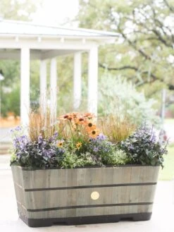 VegTrug™ Trough Planters 16 VegTrug™ Trough Planters -Garden Supplies Sales 8598402 08880 tif
