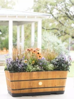 VegTrug™ Trough Planters 14 VegTrug™ Trough Planters -Garden Supplies Sales 8598402 8880 tif