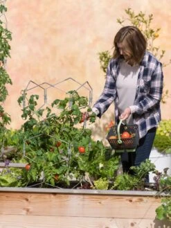 Gardener's Vertex Lifetime Tomato Cage 11 Gardener's Vertex Lifetime Tomato Cage -Garden Supplies Sales 8598426 0026 tif