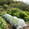 Insect Protection Tunnel 2 Insect Protection Tunnel -Garden Supplies Sales 8598536 8225 tif