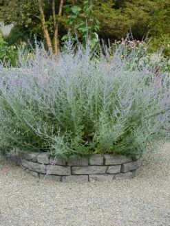 Rock Lock Interlocking Garden System, Curved Sets 13 Rock Lock Interlocking Garden System, Curved Sets -Garden Supplies Sales 8598737 04V tif