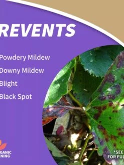 Garden Supplies Sales -Garden Supplies Sales 8598746 01V