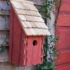 Heartwood Bluebird Bunkhouse Bird House -Garden Supplies Sales 8598855rw 02v heartwood bluebird bunkhouse bird house redwood