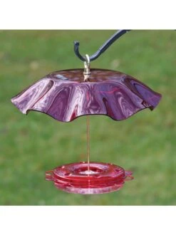 Birds Choice™ Hummingbird Nectar Feeder With Weather Guard Kit 7 Birds Choice™ Hummingbird Nectar Feeder With Weather Guard Kit -Garden Supplies Sales 8598910 01v