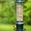 Brome ® Squirrel Buster Plus™ Bird Feeder -Garden Supplies Sales 8598916 1311 tif