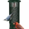 Brome® Squirrel Buster™ Legacy Bird Feeder -Garden Supplies Sales 8598919 01V tif