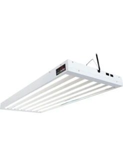 AgroBrite T5 324W 6-Tube Fixture With Bulbs, 4'