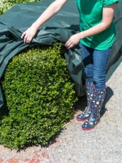 The Planket® Frost Protection Plant Cover, 10' X 20' -Garden Supplies Sales 8599101 0929 tif