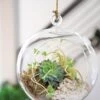 Floating Orb Terrarium Kit -Garden Supplies Sales 8599146 02v floating orb glass terrarium kit