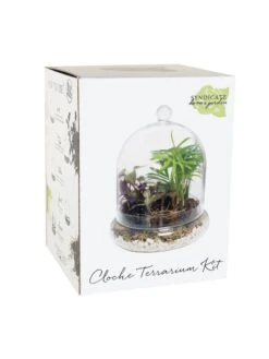 Cloche Terrarium Kit Medium -Garden Supplies Sales 8599148 01v