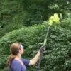 Sun Joe® Electric Telescoping Pole Hedge Trimmer, 4 Amp -Garden Supplies Sales 8599169 01v sun joe electric telescoping pole hedge trimmer