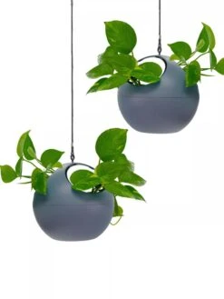 Exaco Euro Hanging Planters, Set Of 2 -Garden Supplies Sales 8599179 04V tif