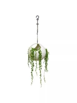 Exaco Euro Hanging Planters, Set Of 2 -Garden Supplies Sales 8599179 06V tif