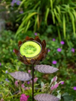 Dahlia Butterfly Feeder -Garden Supplies Sales 8599369 683 tif