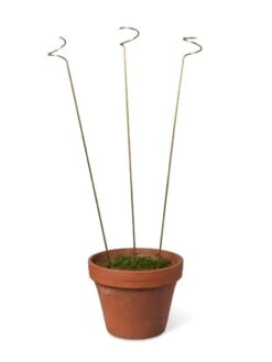 Adjustable Amaryllis Stakes, Set Of 3 5 Adjustable Amaryllis Stakes, Set Of 3 -Garden Supplies Sales 8599394 15663